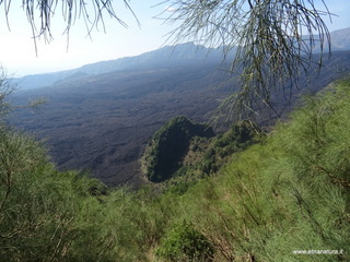 nte Rinatu-15-09-2019 10-57-30